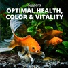 image:imageTetra Goldfish Flakes Nutritionally Balanced Diet For Aquarium Fish Vitamin C Enriched Flakes 452 lbs oz1 Ounce Pack of 36
