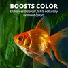 image:imageTetra Goldfish Flakes Nutritionally Balanced Diet For Aquarium Fish Vitamin C Enriched Flakes 452 lbs oz22 Pound Pack of 1