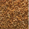 image:imageTetra RiverShrimp Fish Treat Natural Shrimp Supplement 092 ozSeafood
