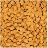 image:imageTetra ShrimpWafers Fish Food For Catfish amp Loaches 3 oz3 Ounce Pack of 1