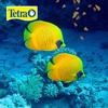image:imageTetra TetraMin XL Tropical Flakes Fish Food for Large Fish 565 oz
