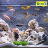 image:imageTetraCichlid Cichlid Flakes 282 oz Fish Food Clear Water Advanced Form882 Ounce Pack of 1