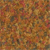 image:imageTetraColor Tropical Flakes Color Boosting Fish Food Nutritionally Balanced Diet for Tropical Fish 706 ozTropical