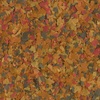 image:imageTetraColor Tropical Flakes Color Boosting Fish Food Nutritionally Balanced Diet for Tropical Fish 706 ozTropical
