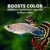 image:imageTetraColor Tropical Flakes Color Boosting Fish Food Nutritionally Balanced Diet for Tropical Fish 706 ozTropical