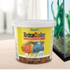 image:imageTetraColor Tropical Flakes Color Boosting Fish Food Nutritionally Balanced Diet for Tropical Fish 706 ozTropical
