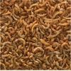 image:imageTetraMin Crisps SelectAFood Tropical Fish Food 3 Foods in 1 24 oz24 Ounce Pack of 1