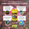 image:imageTetraMin Tropical Granules Fish Food for MidFeeding Fish 352 oz352 Ounce Pack of 1