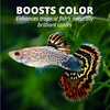 image:imageTetraPro Tropical Color Crisps Fish Food 741 oz741 Ounce Pack of 12