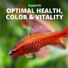 image:imageTetraPro Tropical Color Crisps Fish Food 741 oz741 Ounce Pack of 12