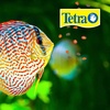 image:imageTetraPro Tropical Color Crisps Fish Food 741 oz741 Ounce Pack of 2