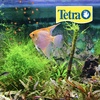 image:imageTetraPro Tropical Crisps 670 Ounces Fish Food Advanced Clear Water Formula67 Ounce Pack of 1
