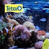 image:imageTetra BettaSafe Water Conditioner for Betta Fish Tanks 169 ozGolds  Yellows