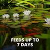 image:imageTetra Pond Vacation Food SlowRelease Feeder Block Fish Food 345 oz345 Ounce Pack of 1