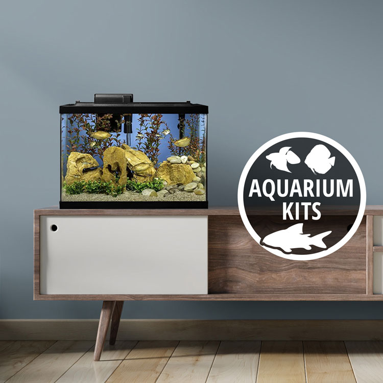 Tetra Aquatics | Build Your Healthy Aquarium,Expert Nutrition and Water Care for Beautiful Aquariums