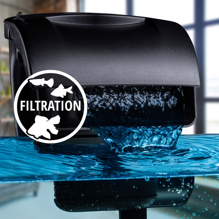 Tetra Aquatics | Build Your Healthy Aquarium,Expert Nutrition and Water Care for Beautiful Aquariums