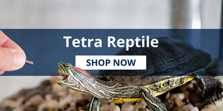 Tetra Aquatics | Build Your Healthy Aquarium,Expert Nutrition and Water Care for Beautiful Aquariums