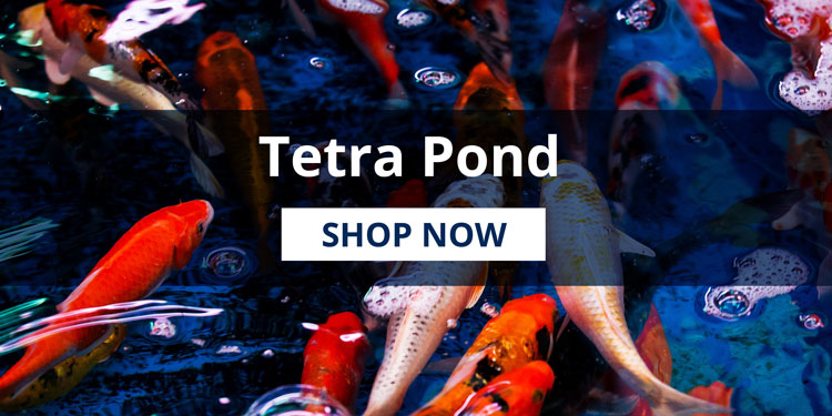 Tetra Aquatics | Build Your Healthy Aquarium,Expert Nutrition and Water Care for Beautiful Aquariums